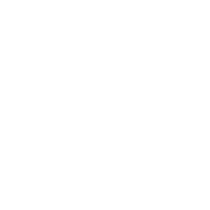Prime Squad